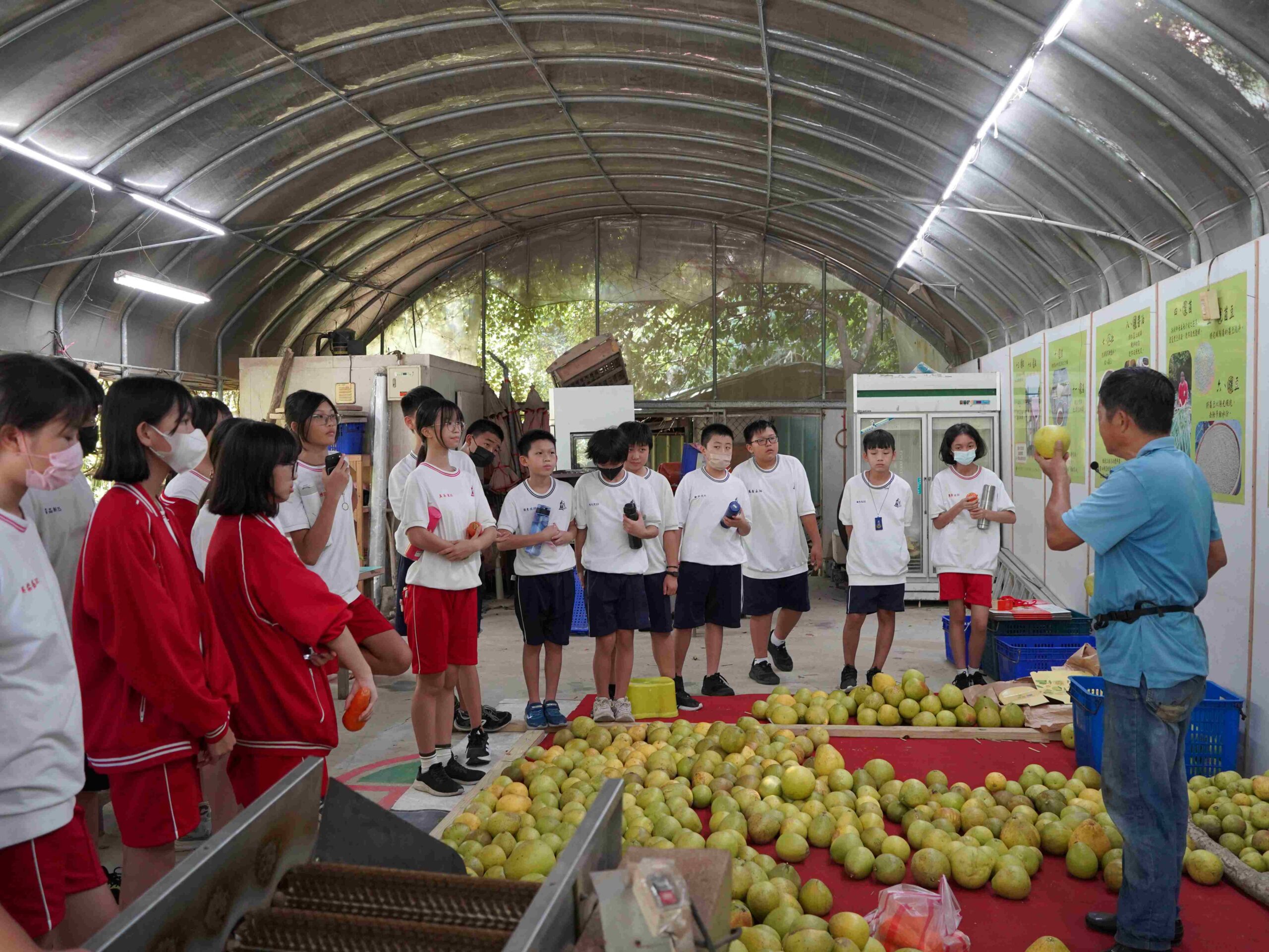 企業ESG×食農教育 新北打造場域教案新典範 2 %E6%A1%83%E6%A8%82%E7%B5%B2%E8%BE%B2%E5%A0%B4%E7%9A%84%E6%9F%9A%E9%A6%99%E5%9B%9B%E6%BA%A2%E7%9A%84%E7%A7%98%E5%AF%86%E8%8A%B1%E5%9C%92%E6%95%99%E6%A1%88%E5%AF%A6%E4%BD%9C 3 scaled