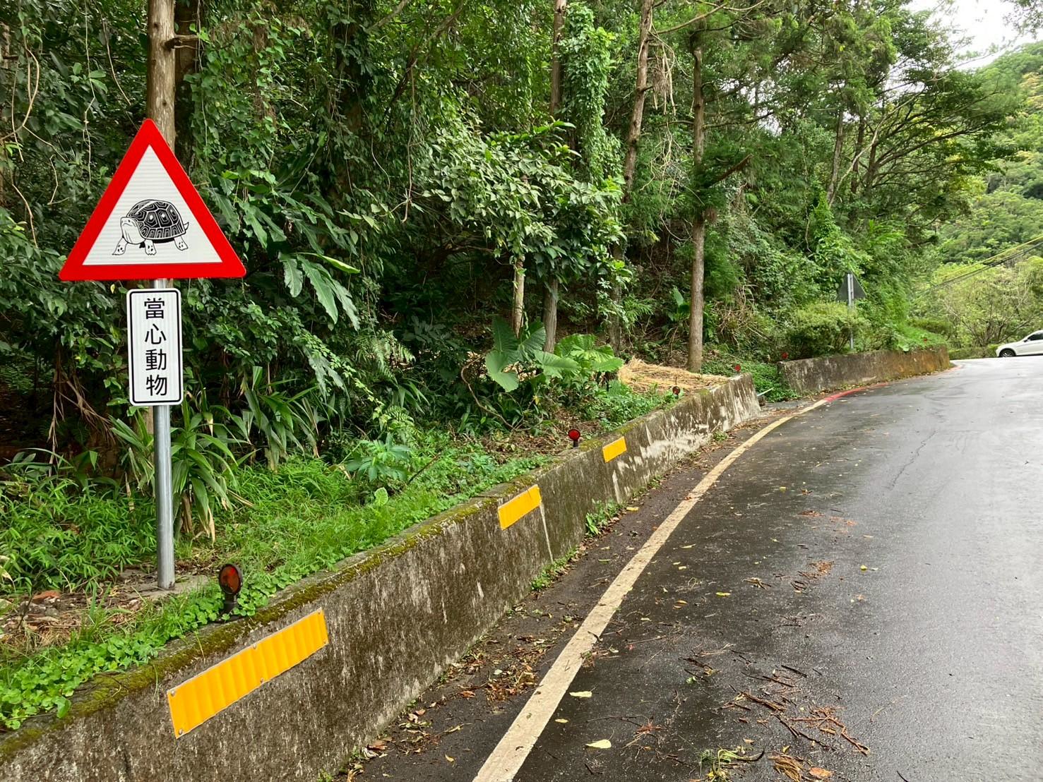 %E8%A8%AD%E7%BD%AE%E7%94%B1%E6%94%BF%E6%B2%BB%E5%A4%A7%E5%AD%B8%E5%AD%B8%E7%94%9F%E8%A8%AD%E8%A8%88%E7%9A%84%E9%A3%9F%E8%9B%87%E9%BE%9C%E8%AD%A6%E7%A4%BA%E6%A8%99%E8%AA%8C%EF%BC%8C%E6%8F%90%E9%86%92%E7%94%A8%E8%B7%AF%E4%BA%BA%E6%B8%9B%E9%80%9F%E6%85%A2%E8%A1%8C