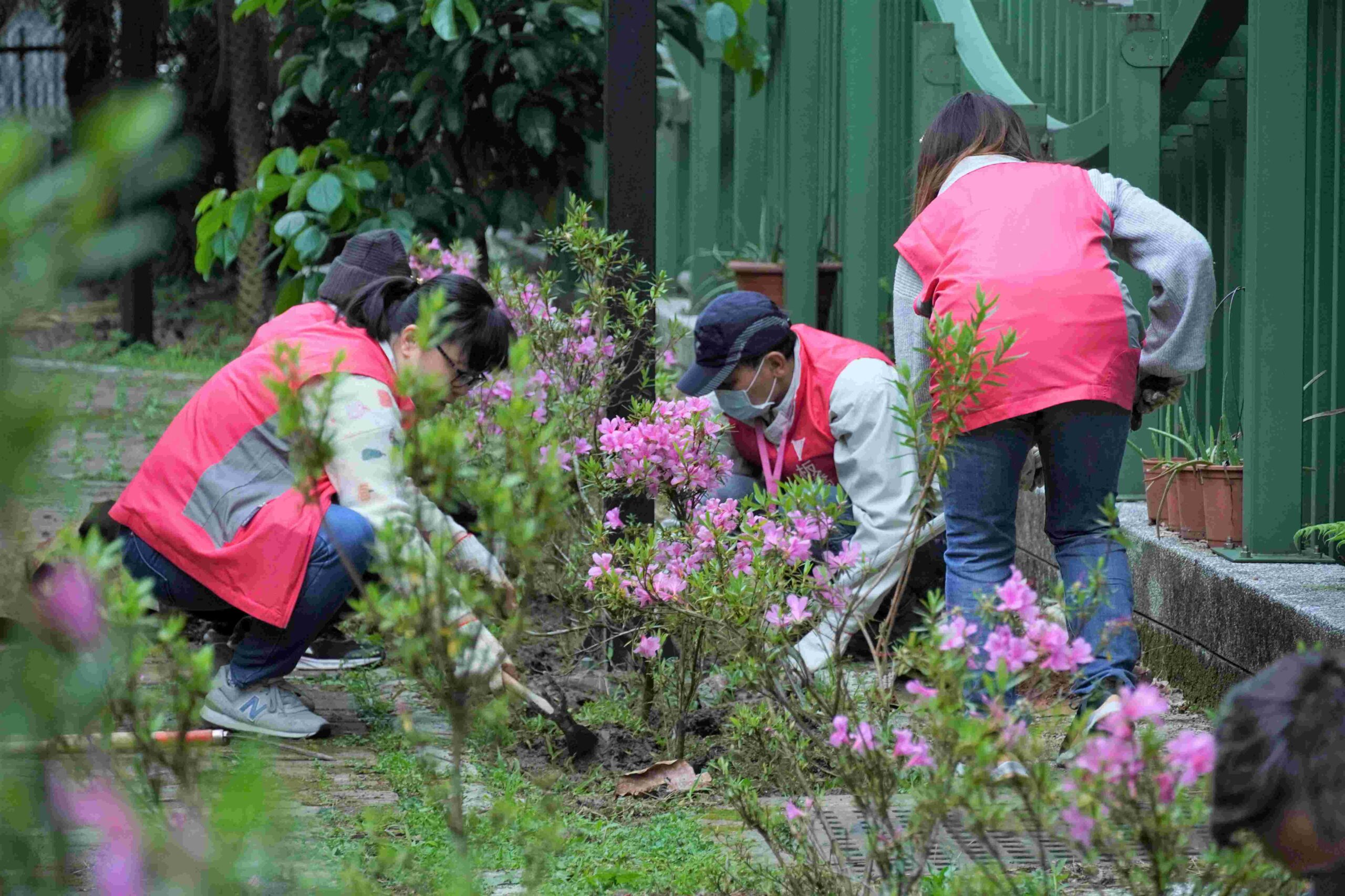 %E6%B0%91%E7%9C%BE%E9%A0%98%E8%8B%97%E5%BE%8C%E5%8F%AF%E8%87%B3%E3%80%8C%E7%82%BA%E5%9C%B0%E7%90%83%E7%A8%AE%E4%B8%8B%E4%B8%80%E6%A3%B5%E6%A8%B9%E2%80%94%E7%99%BE%E8%90%AC%E4%BA%BA%E7%A8%AE%E7%99%BE%E8%90%AC%E6%A8%B9%E3%80%8D%E5%AE%98%E7%B6%B2%E4%BA%86%E8%A7%A3%E5%A6%82%E4%BD%95%E7%A8%AE%E6%A8%B9 scaled