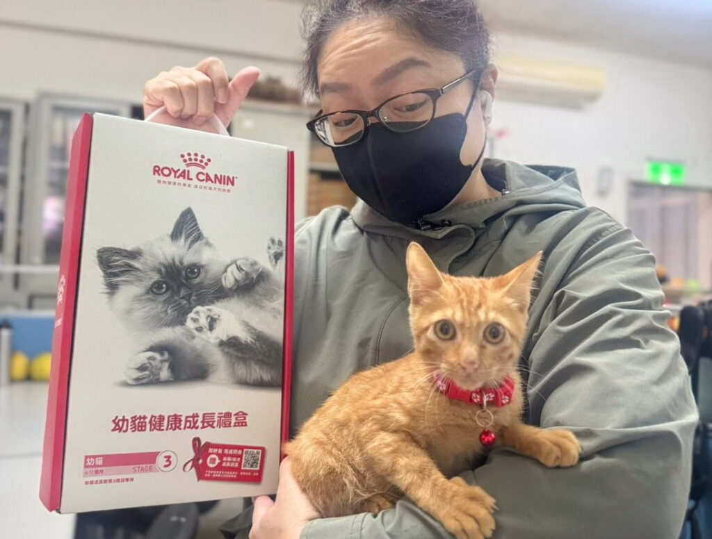 %E5%B0%8F%E6%A9%98%E8%B2%93%E9%96%8B%E5%BF%83%E7%9A%84%E8%88%87%E4%B8%BB%E4%BA%BA%E4%BA%92%E5%8B%95%E4%B8%AD