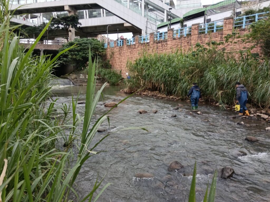 新北市環保局破獲營造公司違法排污依法嚴懲 2 %E7%A8%BD%E6%9F%A5%E4%BA%BA%E5%93%A1%E8%BA%AB%E8%91%97%E9%9D%92%E8%9B%99%E8%A3%9D%E6%B7%B1%E5%85%A5%E6%BA%AA%E5%BA%8A%E6%BA%AF%E6%BA%90