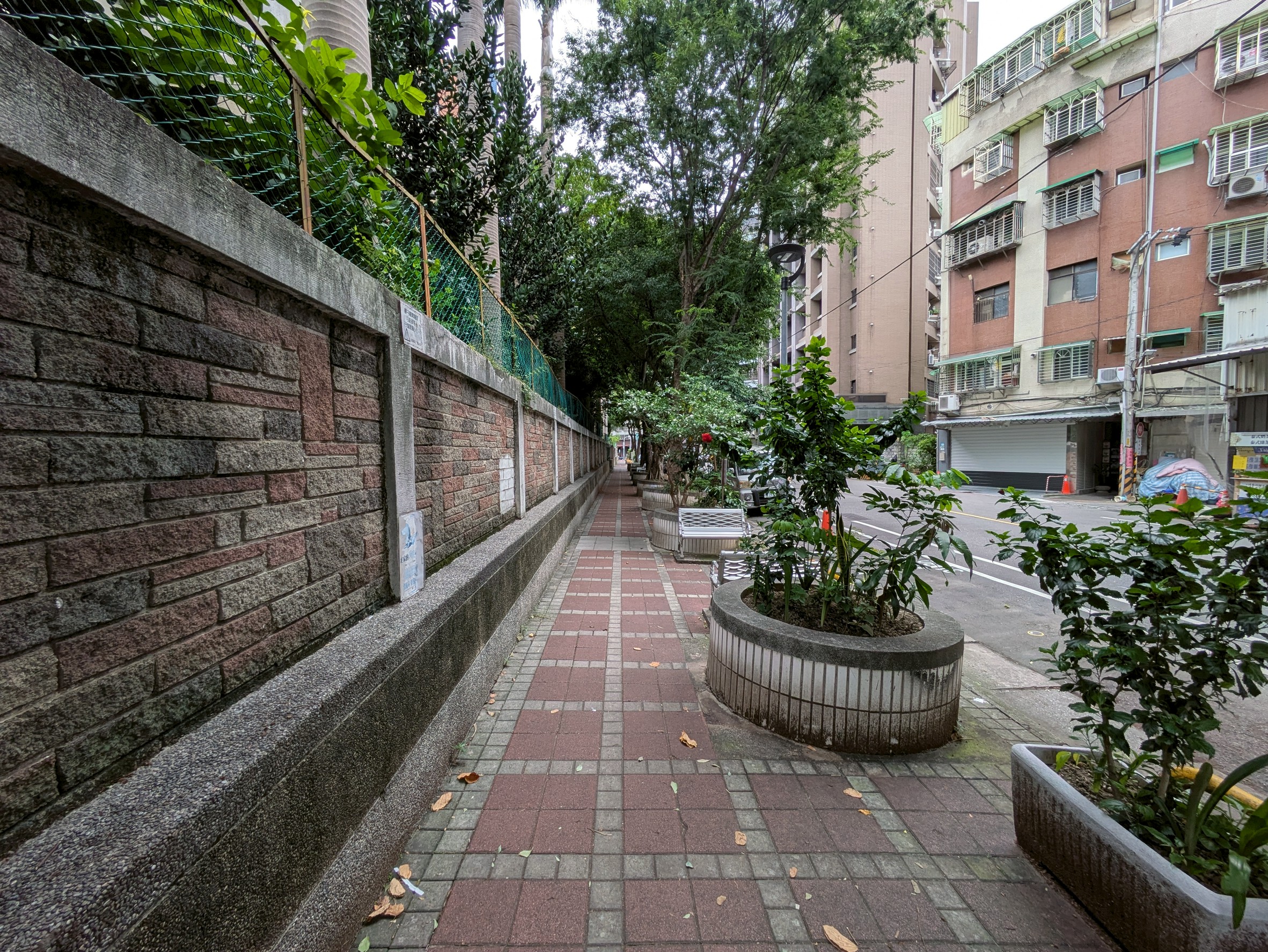 《圖說》養工處改善三重區永福國小周邊人行道，移除植栽等障礙物，並拓寬行人空間，創造優質通行環境，右圖改善前照片。〈工務局提供〉