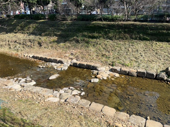 強化河岸防洪提升 汐止康誥坑溪固床工程完工 6 《圖說》康誥坑溪新建固床工完工後,提升河道穩定性並確保兩岸護岸安全。〈水利局提供〉