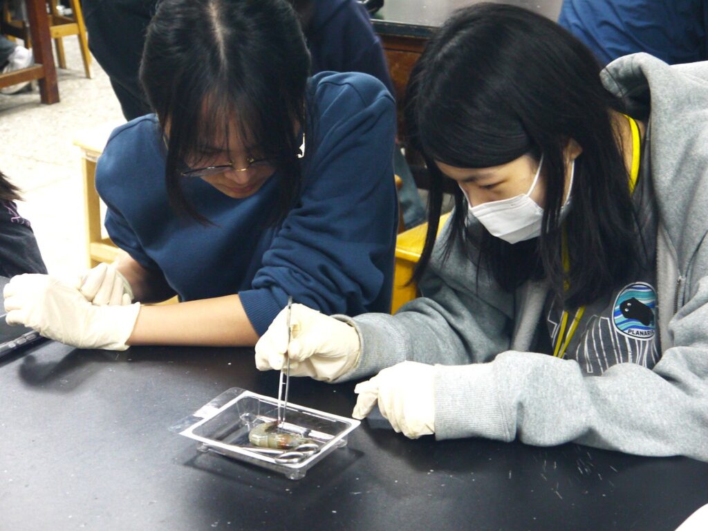 02 %E5%8F%83%E8%88%87%E7%87%9F%E9%9A%8A%E7%9A%84%E9%AB%98%E4%B8%AD%E5%AD%B8%E7%94%9F%E5%9C%A8%E4%B8%AD%E5%B1%B1%E9%86%AB%E5%A4%A7%E5%AF%A6%E9%A9%97%E5%AE%A4%E9%80%B2%E8%A1%8C%E7%AF%80%E8%82%A2%E5%8B%95%E7%89%A9%E8%A7%A3%E5%89%96%E5%AF%A6%E4%BD%9C%EF%BC%8C%E9%AB%94%E9%A9%97%E7%94%9F%E7%A7%91%E7%A0%94%E7%A9%B6%E3%80%82