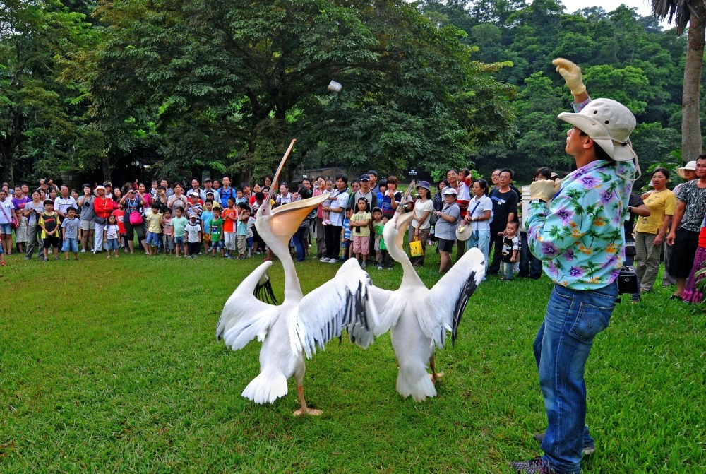 01%E7%B6%A0%E4%B8%96%E7%95%8C%E6%8E%A8%E5%87%BA%E3%80%8C%E9%A6%AC%E5%85%8D%E8%B2%BB%E3%80%8D%E8%B6%85%E6%AE%BA%E5%84%AA%E6%83%A0 1