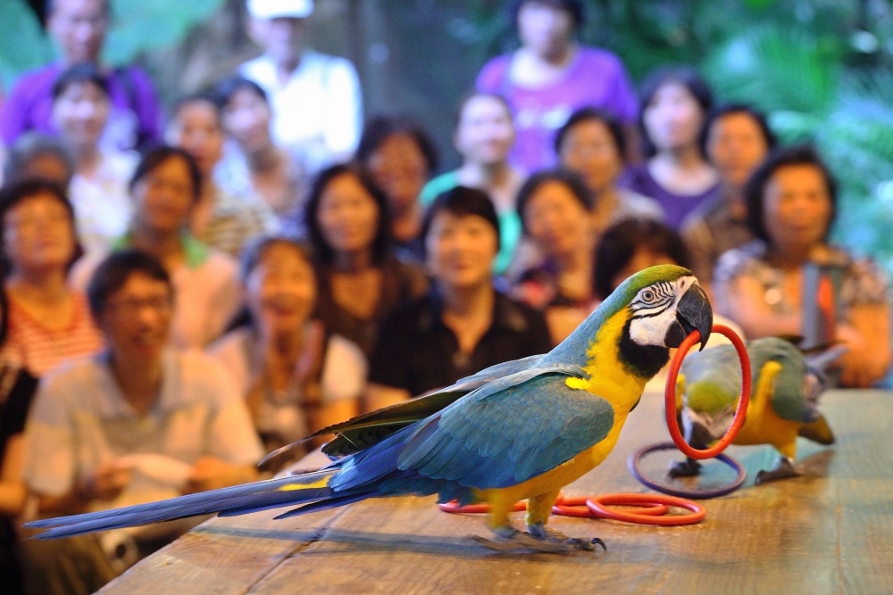 02%E7%B6%A0%E4%B8%96%E7%95%8C%E6%8E%A8%E5%87%BA%E3%80%8C%E9%A6%AC%E5%85%8D%E8%B2%BB%E3%80%8D%E8%B6%85%E6%AE%BA%E5%84%AA%E6%83%A0