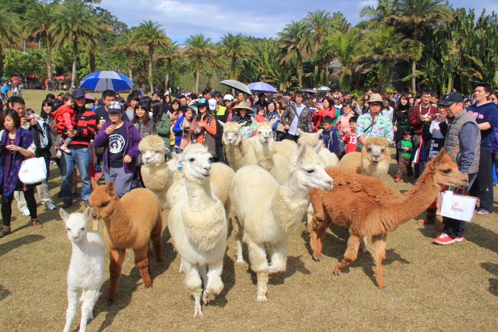 03%E7%B6%A0%E4%B8%96%E7%95%8C%E6%8E%A8%E5%87%BA%E3%80%8C%E9%A6%AC%E5%85%8D%E8%B2%BB%E3%80%8D%E8%B6%85%E6%AE%BA%E5%84%AA%E6%83%A0