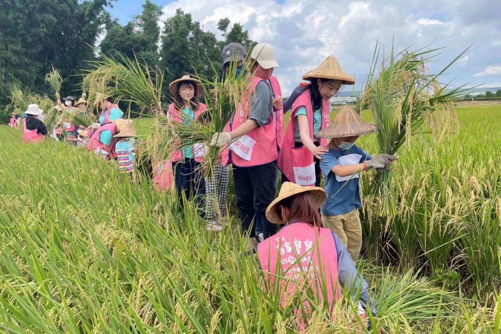 01%E7%AD%89%E5%AE%B6%E5%AF%B6%E5%AF%B6%E7%A4%BE%E7%A6%8F%E5%8D%94%E6%9C%83%E5%8A%A9%E4%BC%81%E6%A5%AD%E6%89%93%E9%80%A0%E5%8F%AF%E9%87%8F%E5%8C%96 1