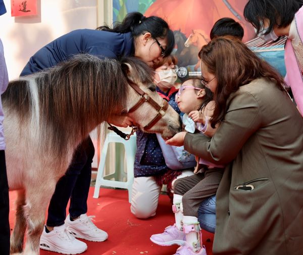 《圖說》迷你馬奶茶和早療兒童互動。〈動保處提供〉