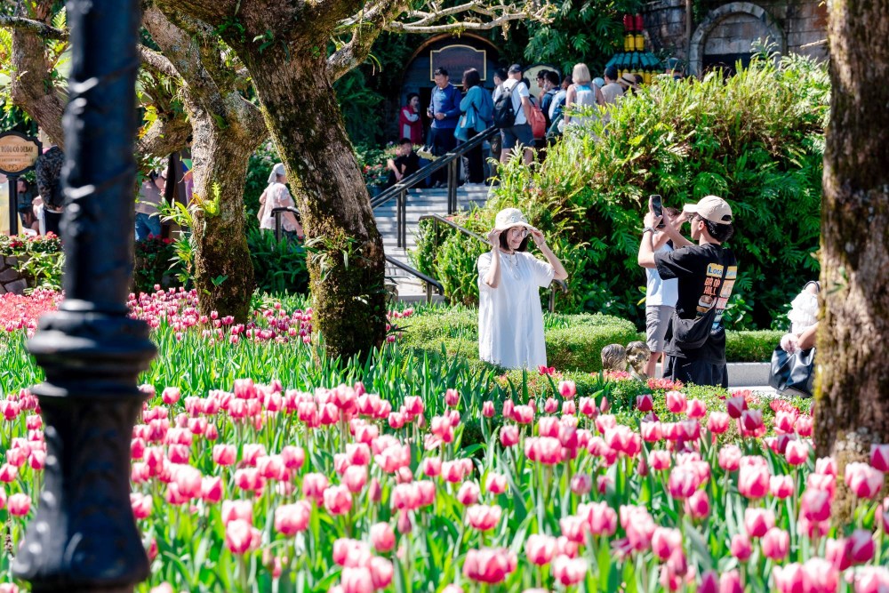 01%E7%99%BE%E8%90%AC%E6%A0%AA%E9%AC%B1%E9%87%91%E9%A6%99%E5%9C%A8%E5%B7%B4%E6%8B%BF%E5%B1%B1%E9%A0%82%E7%87%A6%E7%88%9B%E7%9B%9B%E6%94%BE 1