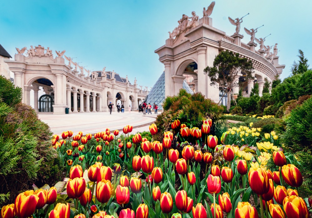 02%E9%AC%B1%E9%87%91%E9%A6%99%E8%8A%B1%E5%8D%89%E7%AF%80%E8%AE%93 Sun World Ba Na Hills %E5%8C%96%E8%BA%AB%E7%82%BA%E9%9B%B2%E7%AB%AF%E4%B8%8A%E7%9A%84%E3%80%8C%E5%B0%8F%E8%8D%B7%E8%98%AD%E3%80%8D