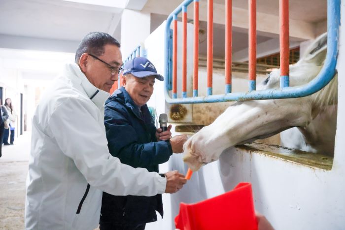 《圖說》市長侯友宜與「卡通」近距離互動,他表示,充分感受到騎警隊員與警馬透過日常互動培養默契的重要性。〈新聞局提供〉