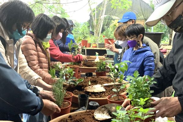 《圖說》雙溪商圈茶花換盆體驗活動,結合在地人文景點,展現雙溪低碳慢活魅力。〈經發局提供〉