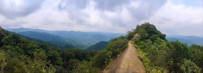 白天縱走山林、夜賞螢火星空 新北微笑山線今起報名 8 《圖說》石碇皇帝殿稜線步道展現極致視野與岩稜地形。〈觀旅局提供〉