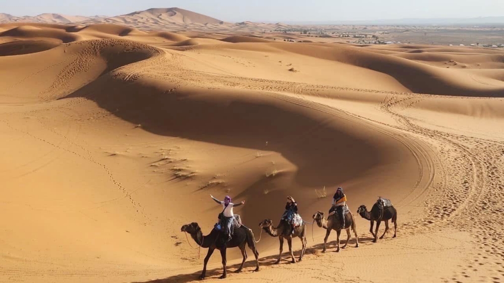 01%E3%80%90%E6%B3%A2%E6%B3%A2%E6%97%85%E9%81%8A%E3%80%91%E4%BB%A5%E3%80%8C%E6%B5%B7%E5%A4%96%E5%B0%8F%E5%9C%98%E6%97%85%E9%81%8A%E3%80%8D%E6%89%93%E9%80%A0%E9%AB%98%E5%BD%88%E6%80%A7%E5%A4%A2%E6%83%B3%E8%A1%8C%E7%A8%8B 1