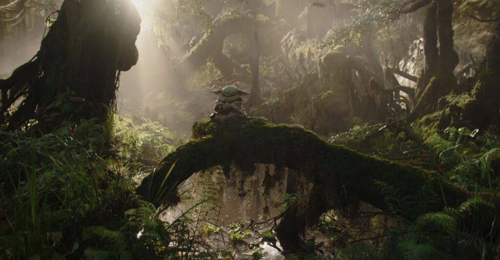 下午2.53 2026 2 23的影像