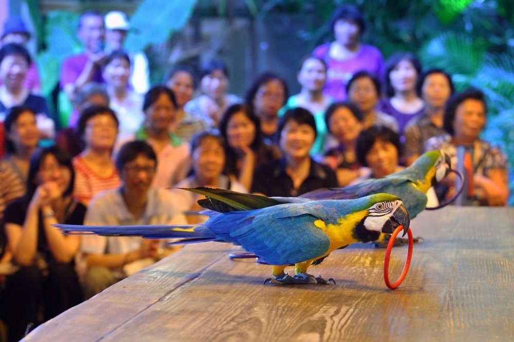 02%E7%B6%A0%E4%B8%96%E7%95%8C%E6%96%B0%E6%8E%A8%E5%87%BA%E3%80%8C2026%E6%98%A5%E5%AD%A3%E6%A0%A1%E5%A4%96%E6%95%99%E5%AD%B8%E3%80%8D%E5%84%AA%E6%83%A0