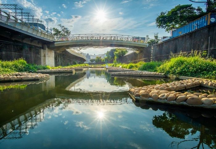 《圖說》大窠坑溪水環境營造工程營造多元環境，待淤積後可成為植生復育棲地。〈水利局提供〉