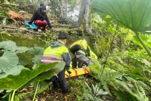 MEITU 20260313 170821341 1