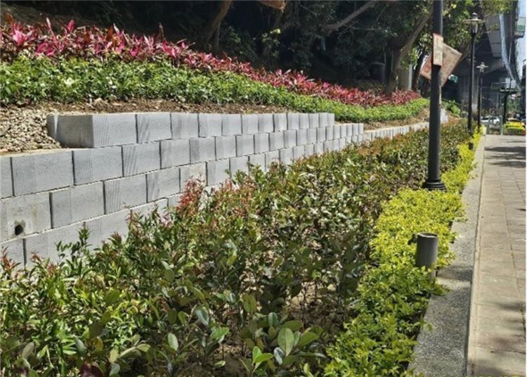 《圖說》三重區格致中學東側旁邊坡綠家園基地綠美化成果---帶狀隔離型。〈城鄉局提供〉