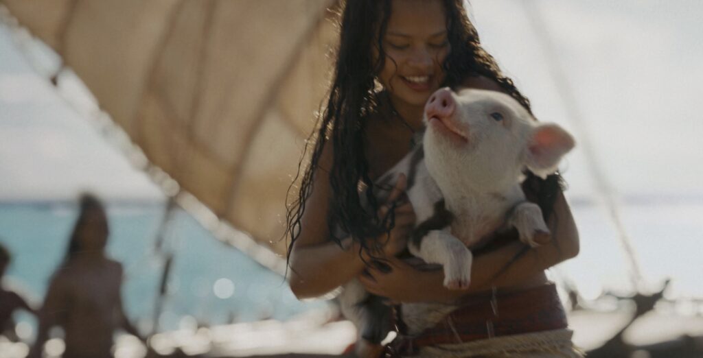 下午2.15 2026 3 24的影像