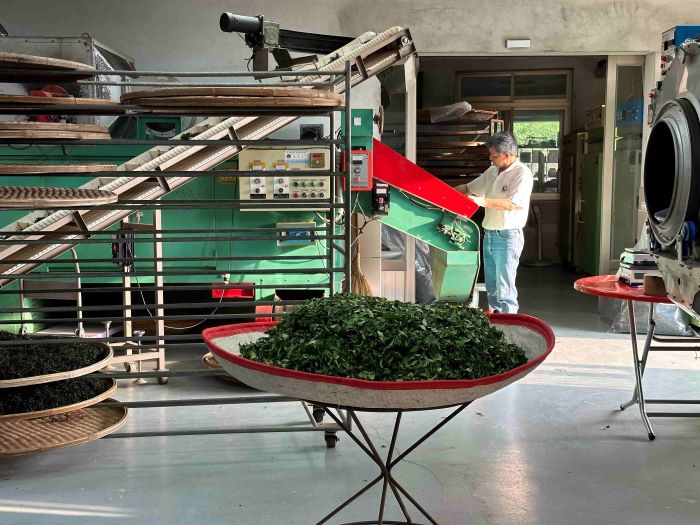 《圖說》5星製茶廠維持環境整潔及製程動線流暢，才能製作出安心安全的優質好茶，圖為茶農確認茶葉乾燥情形。〈農業局提供〉