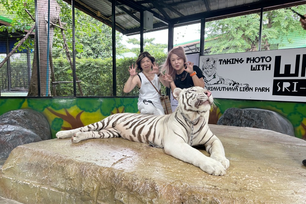 01「紹謙旅行社」以服務韓國與泰國為主軸