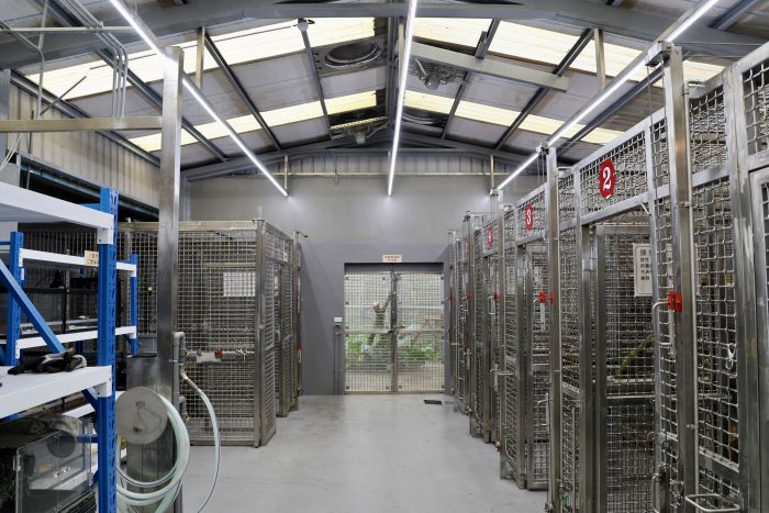 《圖說》救傷中心設有野生動物專用配膳室、醫療室，其籠舍採滑輪與拉軌設計，可彈性調整空間配置。〈動保處提供〉