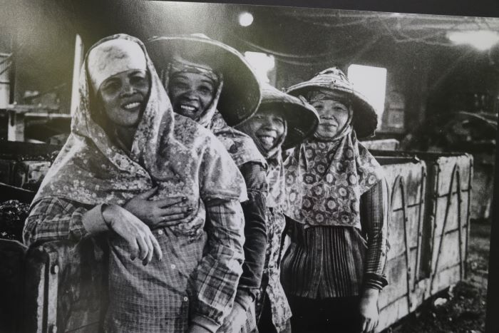 《圖說》菁桐男人入礦坑採礦,婦女幫忙選媒。原攝影者朱健炫老師,翻拍自菁桐礦業生活館。〈社會局提供〉