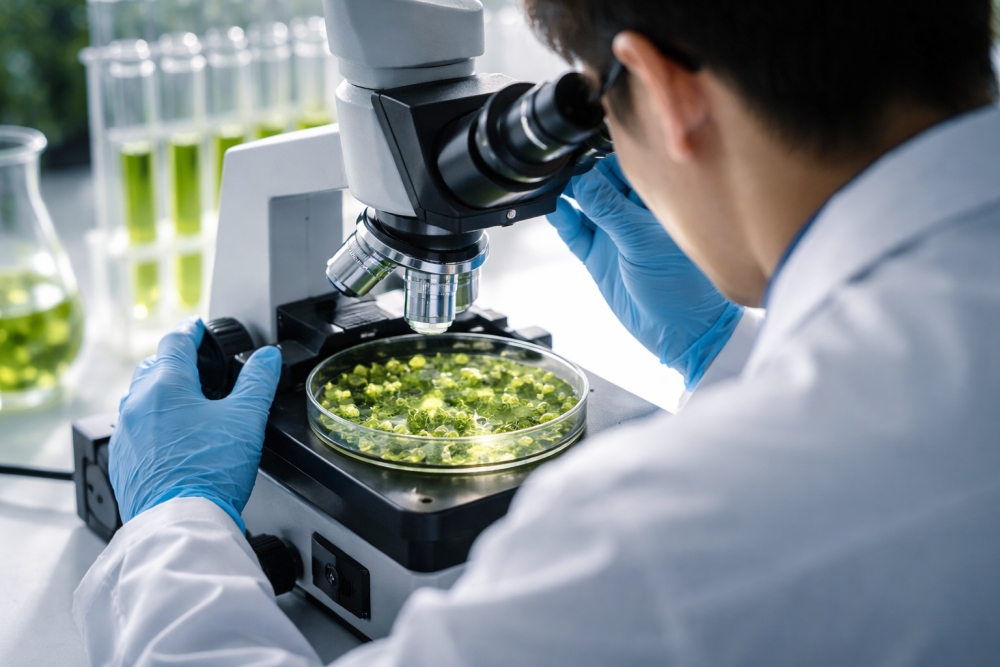 ACMB 收購植物藥四項專利 邁向全球生物科技領域新賽道 4 01ACMB董事會核准收購雙牛集團持有的四項植物藥專利