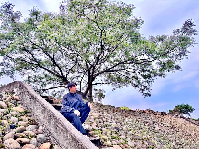 《圖說》苦楝花開如霧,輕盈覆蓋在層層綠葉之上。〈高灘處提供〉