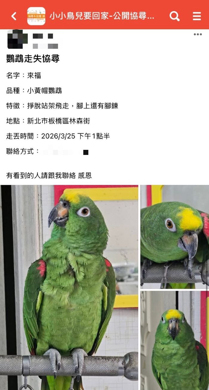 《圖說》海山警透過尋鳥貼文透過網路社群比對資訊，於短短半小時內聯繫上飼主，讓原本心急如焚的主人得以放下心中大石。〈海山分局提供〉