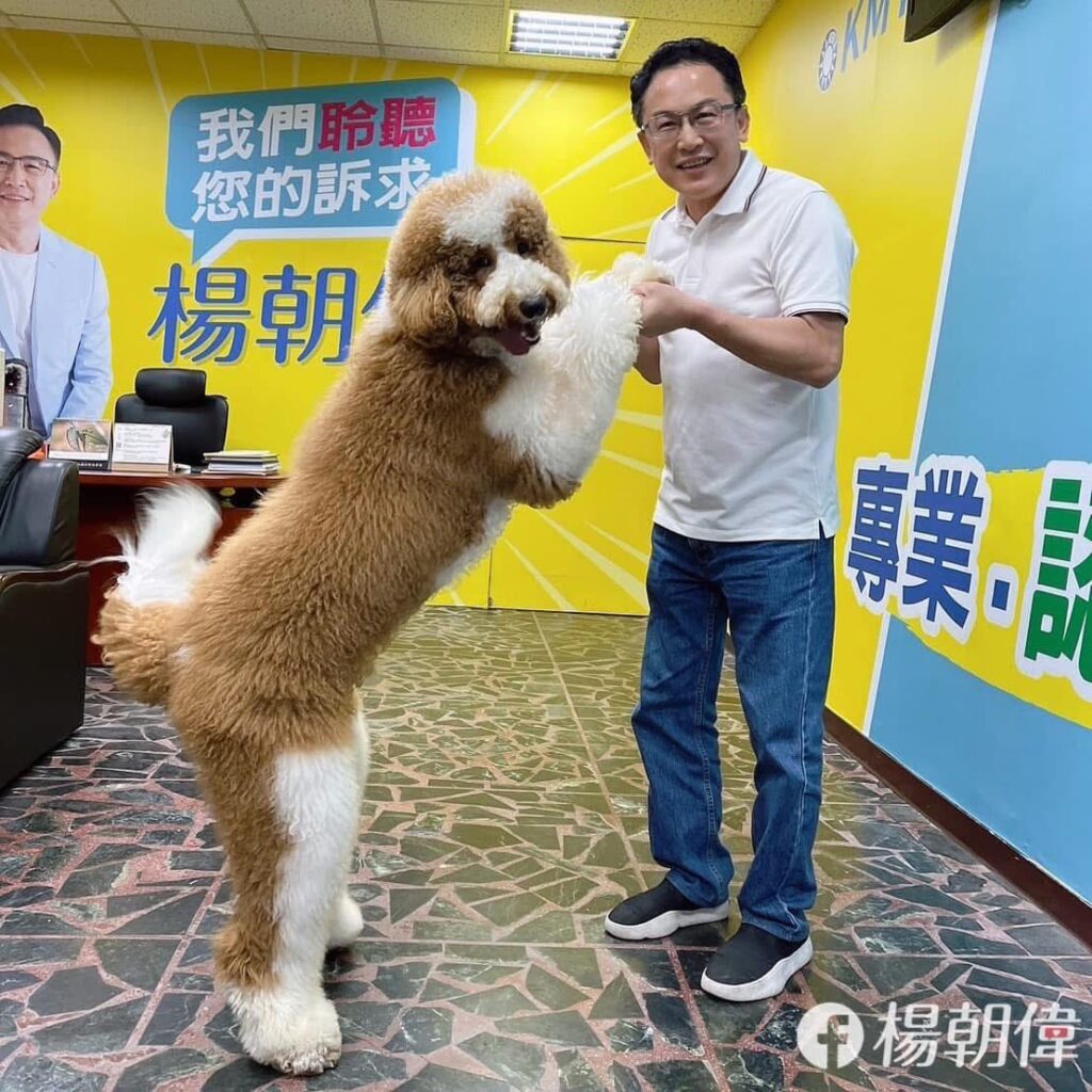 楊朝偉推寵物保險升級 爭取首購保險補助與智慧配套防棄養 10 489965082 1219186109561513 6543350683522080933 n 1