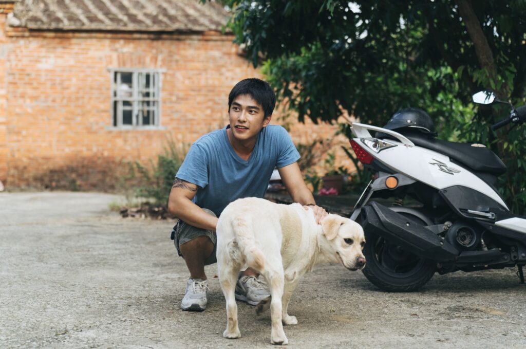 %E4%B8%8B%E5%8D%883.12 2026 3 31%E7%9A%84%E5%BD%B1%E5%83%8F