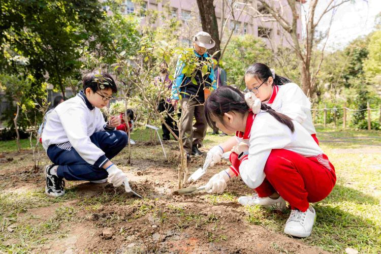清明掃墓防林火 新北加強守護山林 倡植樹取代燒紙 4 《圖說》新北市與北臺七縣市共同推動「為地球種一棵樹—百萬人種百萬樹」計畫,期盼民眾支持植樹行動。〈農業局提供〉