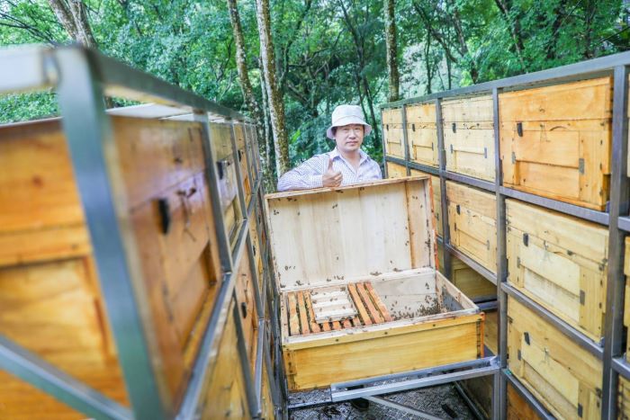 《圖說》「蜂樺蜂蜜」第三代負責人陳冠樺，將「傳統生產」與「體驗教育」深度結合，致力透過互動參與，引導大眾認同農產品背後的職人精神與永續價值。〈農業局提供〉