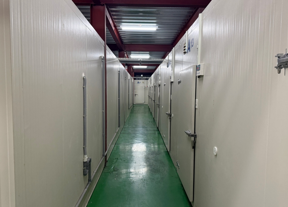 台中冷凍倉儲出租與冷凍櫃出租怎麼選 企業冷鏈配置新趨勢 4 01台中冷凍倉儲出租與冷凍櫃出租怎麼選