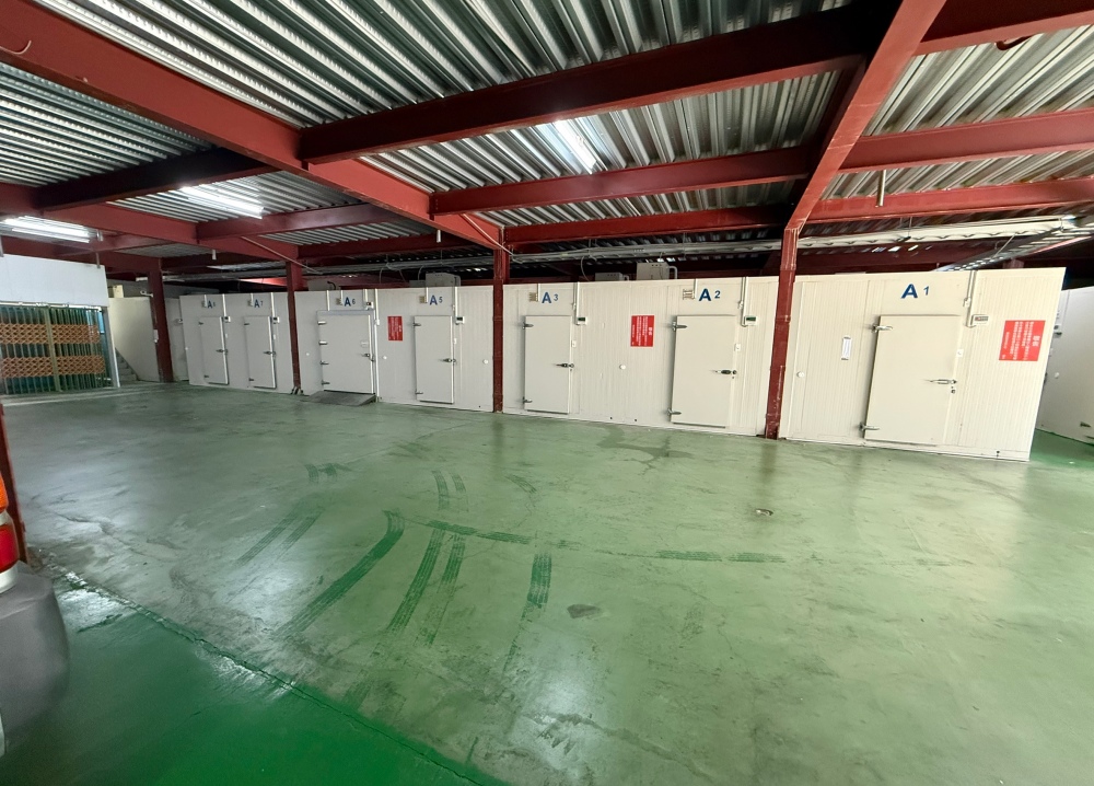 台中冷凍倉儲出租與冷凍櫃出租怎麼選 企業冷鏈配置新趨勢 5 02台中冷凍倉儲出租與冷凍櫃出租怎麼選