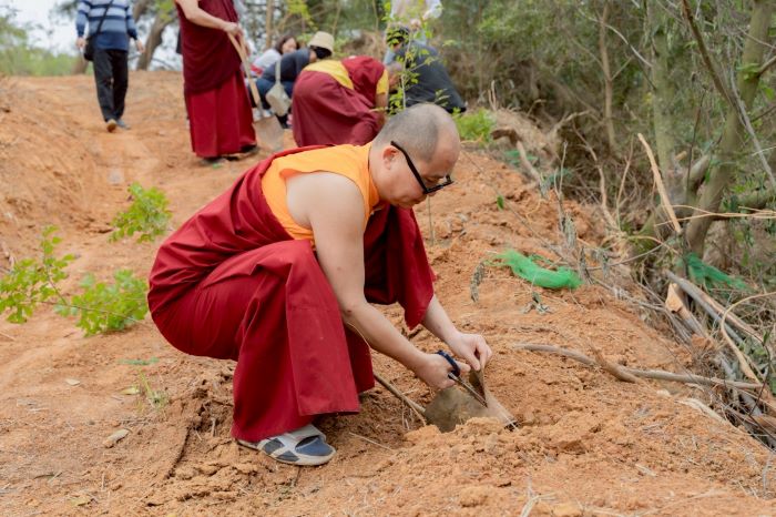 《圖說》配合當地環境，種植耐風樹種光蠟樹和九芎。〈農業局提供〉