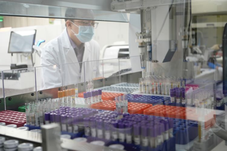 《圖說》推動生化與免疫檢驗共管整合，一次採血完成更多檢查。〈臺北醫院提供〉