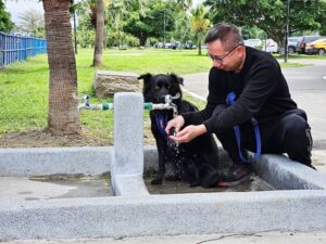 《圖說》民眾可利用寵物沖洗區來清潔寵物。〈高灘處提供〉