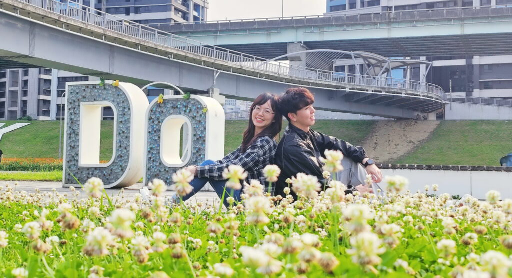 來新北大都會公園與白花三葉草旁甜蜜合影 1