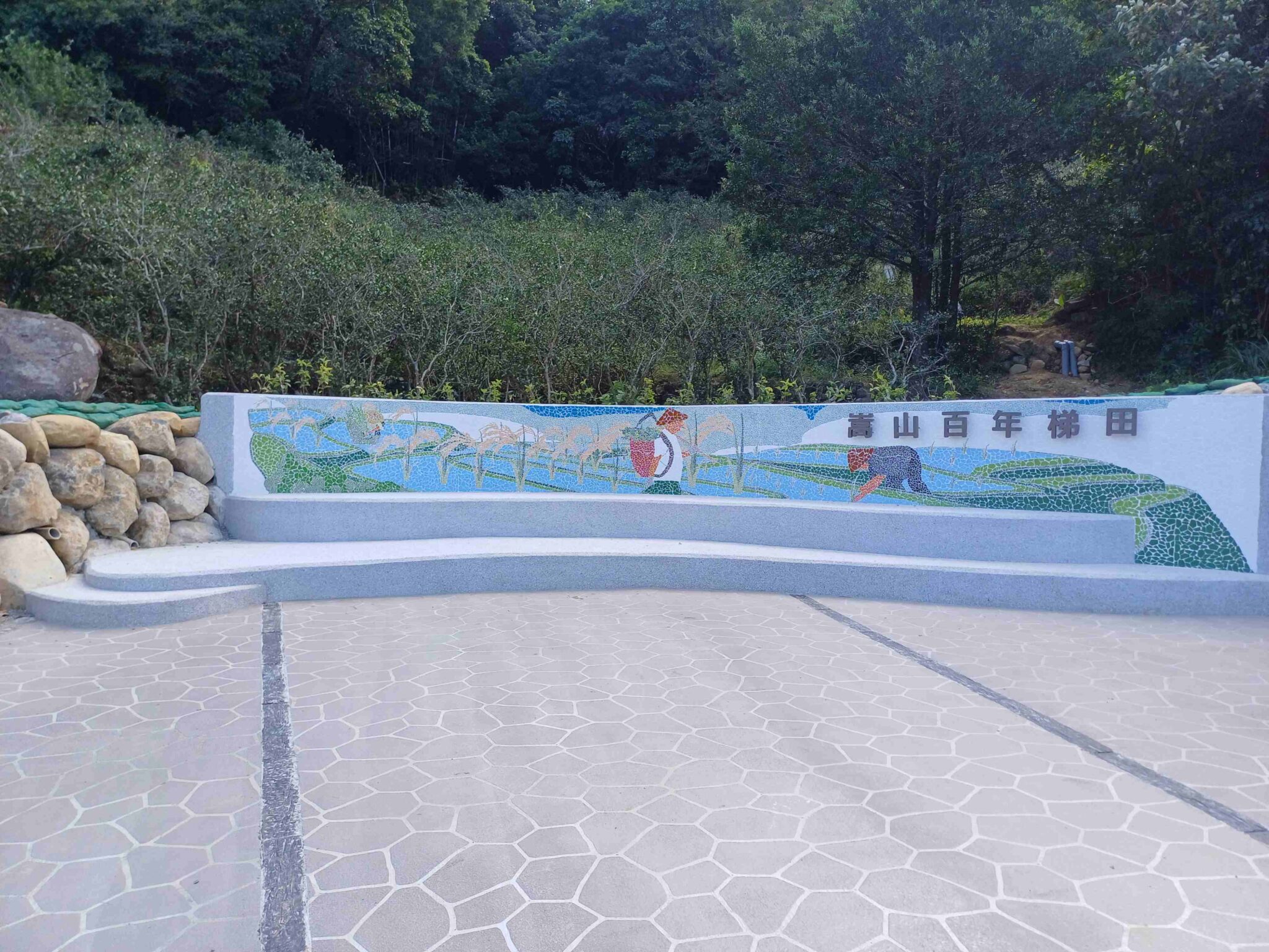 石門百年石砌梯田變美了 鳶尾花開迎賓