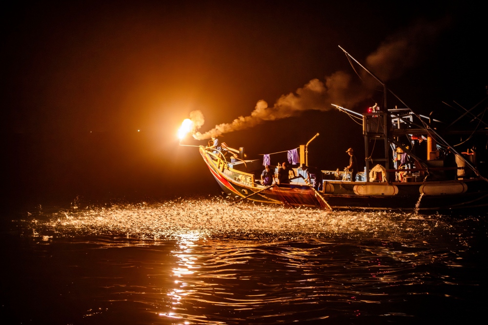 01魚群狂躍 金山蹦火仔5月開跑