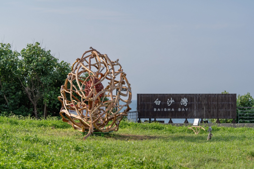 04魚群狂躍 金山蹦火仔5月開跑