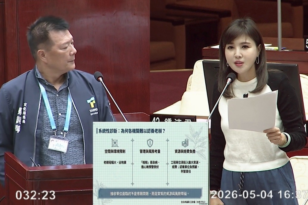 10局處全拒收  金華特四老樹流離失所  王欣儀促建立儲備基地配套