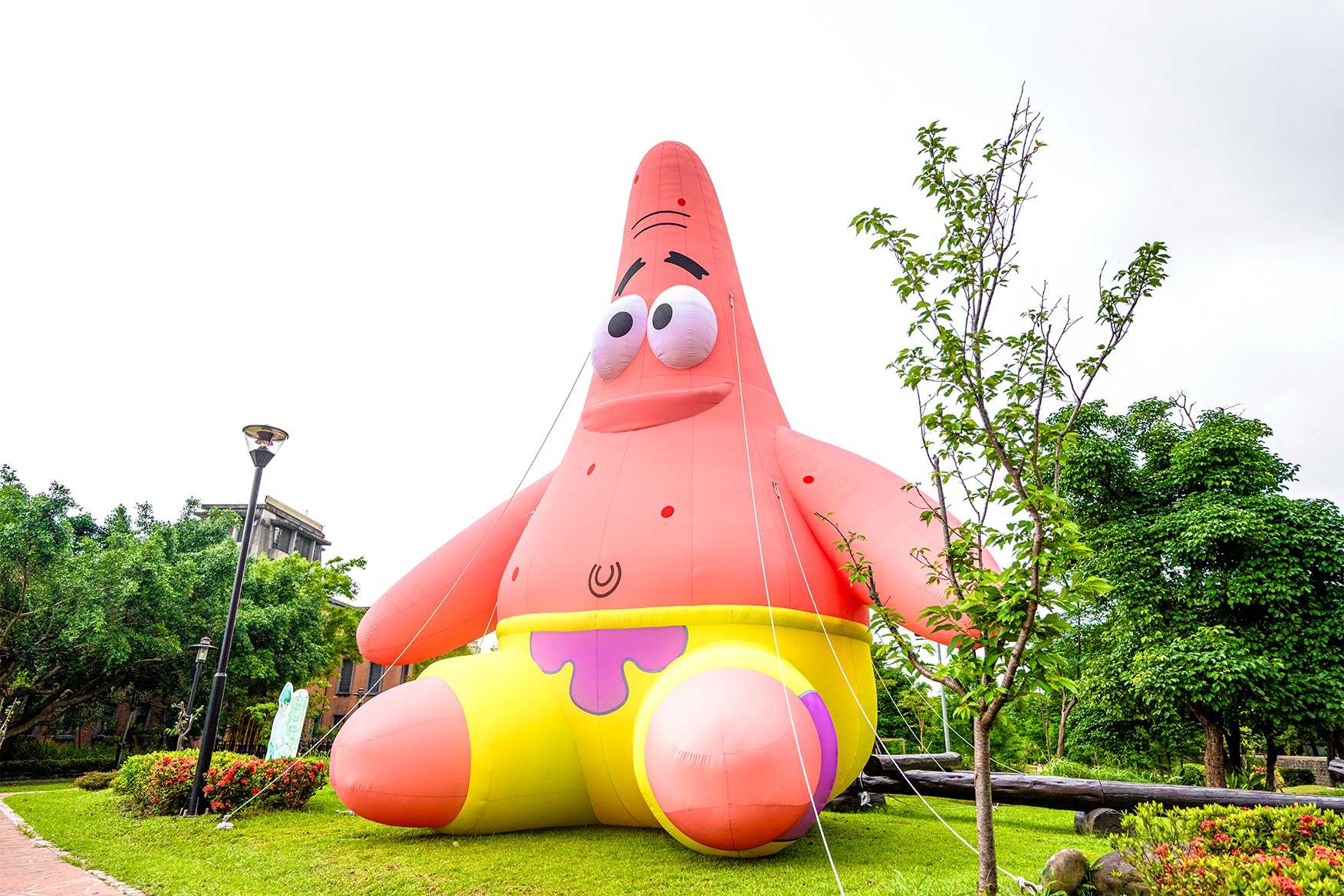 海綿寶寶現身三鶯！　客家圓樓變身「大鳳梨」 5/16主場活動抽iPhone
