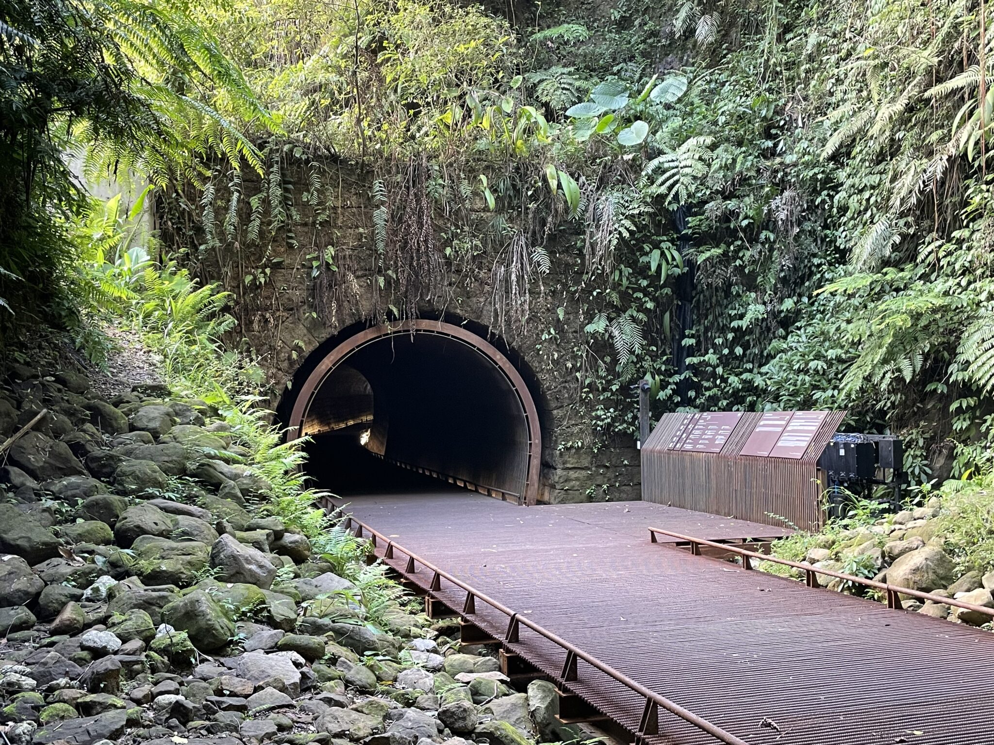 三貂嶺舊隧道迎春夏 蝙蝠遷徙、蝶舞接棒 展現生態友善魅力