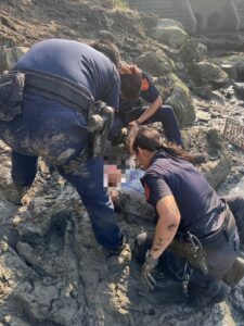 《圖說》海山警合力將女子拉回岸邊。〈海山分局提供〉